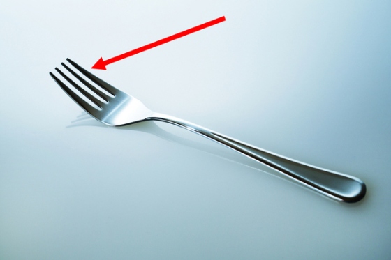 Tines - The prongs on a fork.